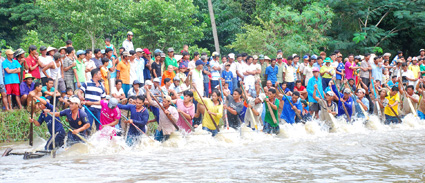 MDEC Sóc Trăng 2014 52 đội đua tài trong ngày hội đua ghe Ngo